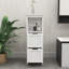 Armoire de salle de bain avec 2 tiroirs et 1 tablette de rangement