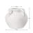Soma 6" Matte White Ceramic Vase With Handles-40972987-40972985