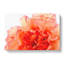 Orange Carnation Flower - Wrapped Canvas-56629027