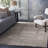 Calen Performance Rug