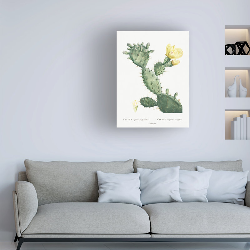 "Redoute Cactus I" sur toile, H 19 po x l 14 po