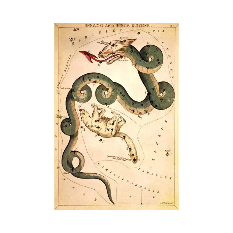 Draco And Ursa Minor by Sidney Hall - Wrapped Canvas Print, 101.6 cm H x 66.04 cm W x 3.175 cm D