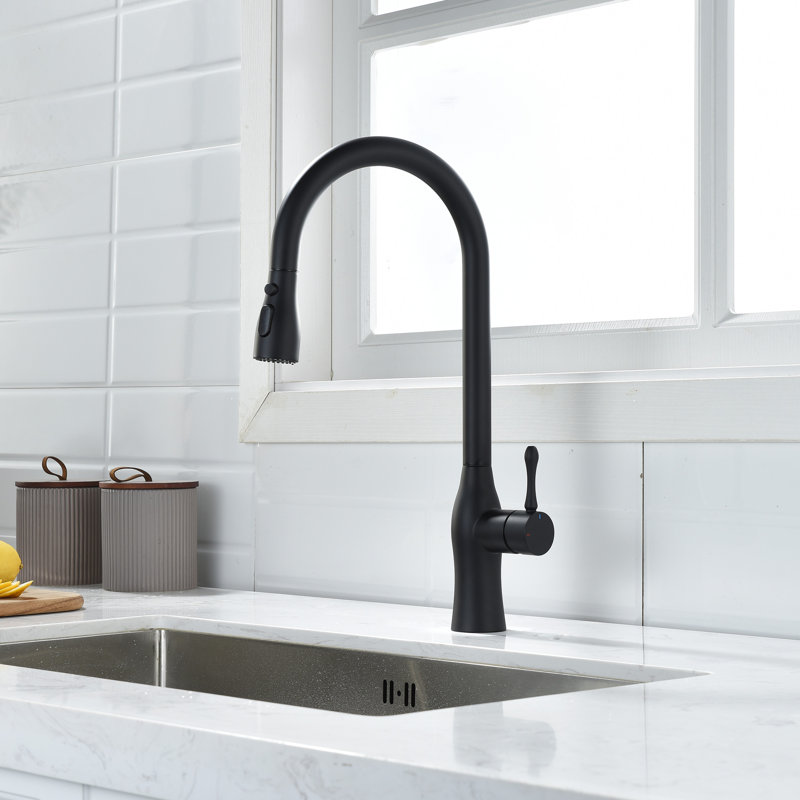 Rainlex Pull Down Kitchen Faucet, Matte Black