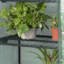 Ellerslie 4.7 Ft W x 11.8 Ft D Mini Greenhouse-1877289976
