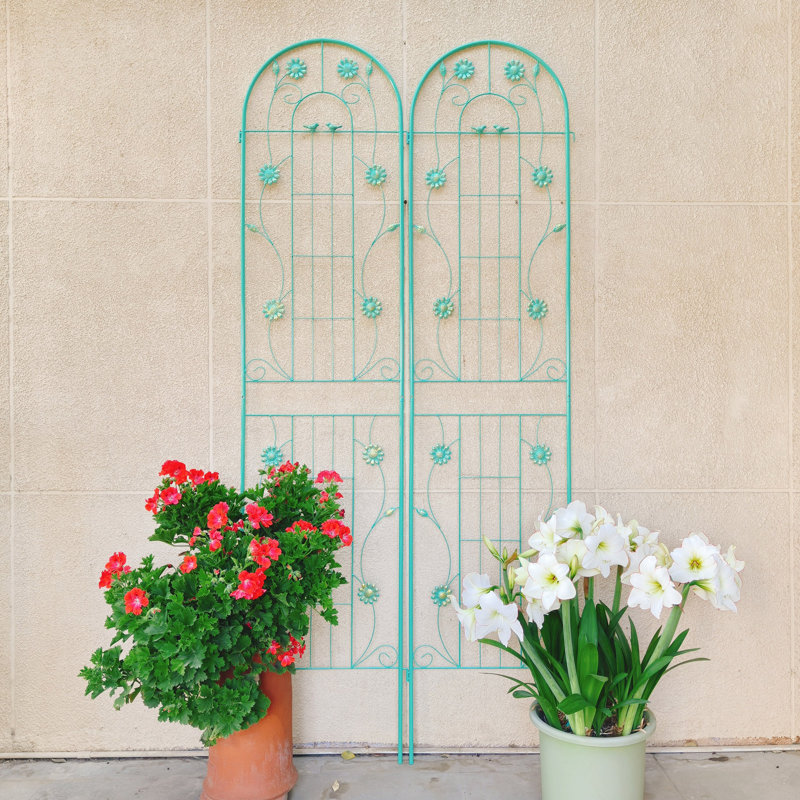 Rustproof Iron Trellis Elegant Design For Versatile Garden Use