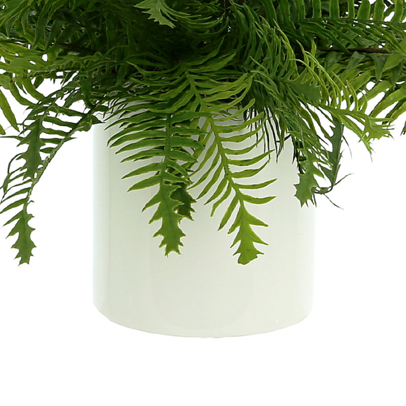 UV Protected Geranium And Fern In A Hanging  Pot