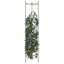 Plant Stand - Set of 4