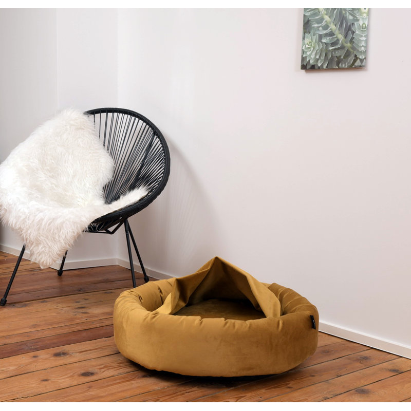 Polyester Pet Bed, Mustard, Medium (90cm W x 90cm D x 19cm H)
