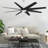 Ariella - Eight Blade Ceiling Fan-1776851489-1776851468