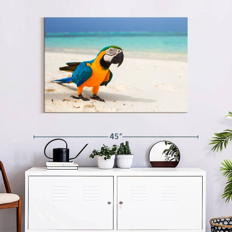 Brampt Macaw On White Sand, 26" H x 39" W