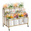 Plant Stand-1022678310