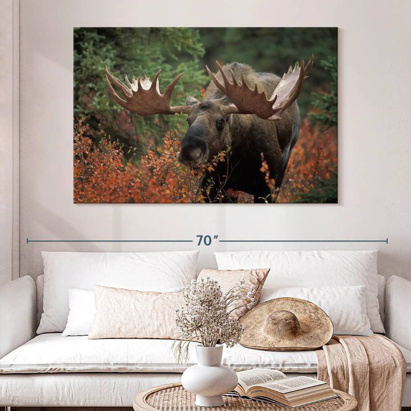 Brampt Moose Forest Meal, 34" H x 51" W