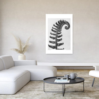 Polystichum Munitum Retro Rustic Vintage Horse Flower Plant Wall Art Print