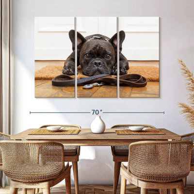 French Bulldog Waiting