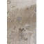 Museum Oriental Area Rug in Beige-25698468