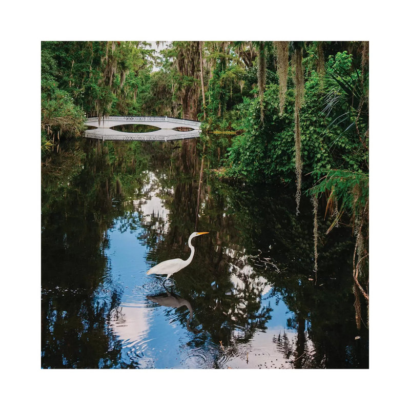 Charleston's Magnolia Plantation VII by Bethany Young - Print on Canvas, 66.04cm H x 66.04cm W x 3.81cm D, Wrapped Canvas