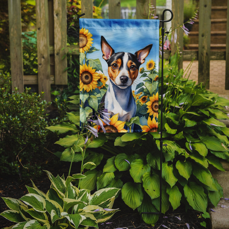 Lévrier irlandais dans le drapeau du jardin de tournesols, Terrier de rat