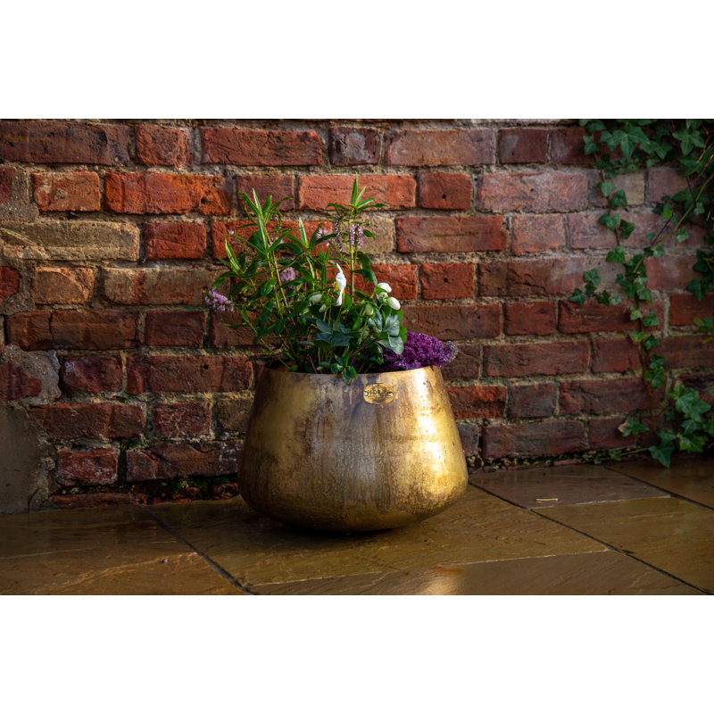Pelaez Metal Pot Planter, 22cm H x 34cm W x 34cm D