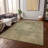 Machine Washable Indoor/Outdoor Cinead ACN1657 Aloe Rug-104391591