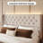 Bed Frame With Storage Drawers And Tufted Headboard Velvet Upholstered Platform, Led Light Wingback-1334576378-1334576382