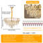 10-Light Chandelier