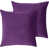 Purple is out of stock selected