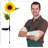 Plastic Low Voltage Solar Powered Integrated LED Pathway Light Pack