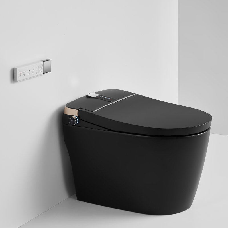 Elongated Bidet Smart Toilet 0.8 GPF with Adjustable Sprayer Settings, Deodorizing, Soft Close, Natural