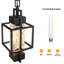 Jarious Outdoor Hanging Lantern