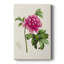 «Pretty Pink Botanicals I», toile tendue avec châssis de qualité supérieure - prête à être accrochée-648841945