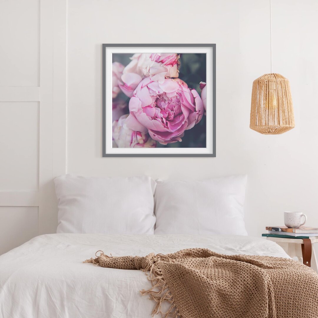 Gerahmter Fotodruck Peony Flower Shabby