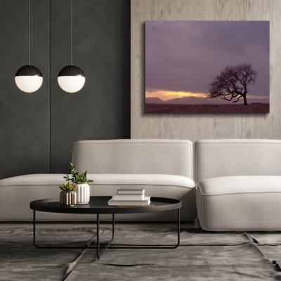 «Field» par PhotoINC Studio