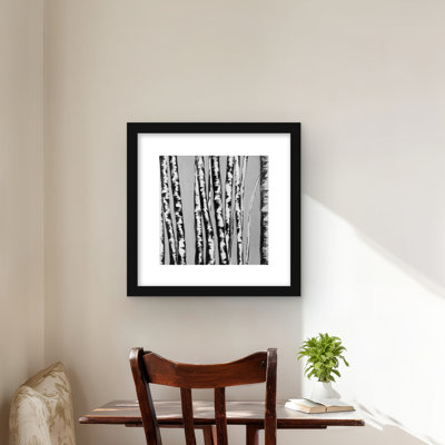 Birches Intersecting - Trees