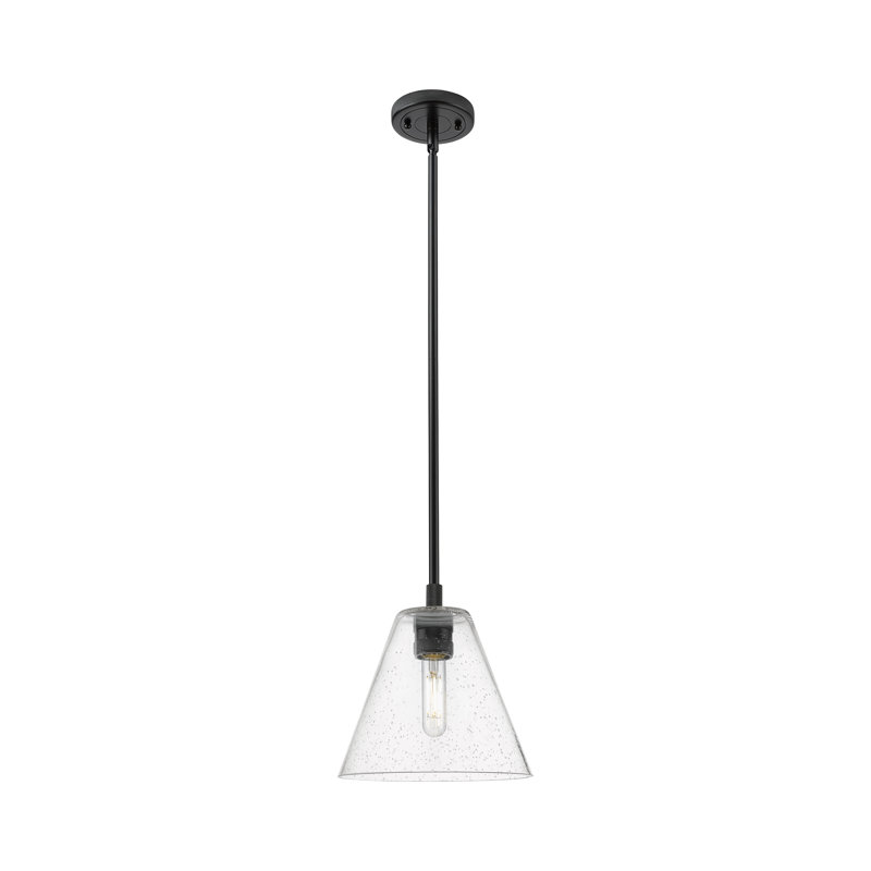 Kehlani - Luminaire suspendu 1 tige Berkshire, Noir mat, H 38,75 po x l 8 po x P 8 po