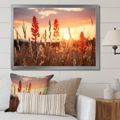 " Wildflowers Field With Sunset "
