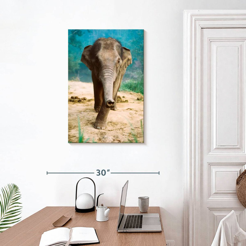 Curieux bébé éléphant Brampt, H 30 po x l 20 po