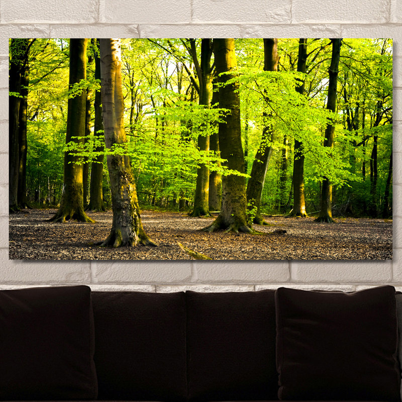 « brillance été forest forest i », reproduction de photo sur toile tendue, H 36 po x l 60 po x P 1,5 po