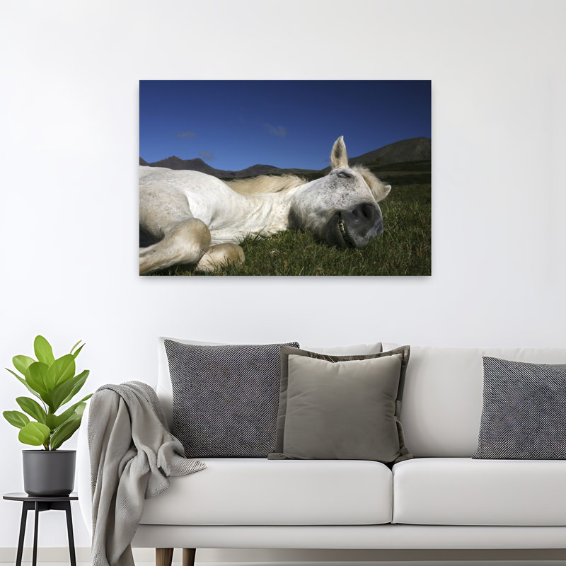 «Happy Sleeping Horse Peaceful Serene Abstract Horse Landscape», reproduction d'art murale, H 32 po x l 48 po