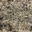 Mousse grise naturelle en vrac