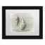 « two cancellara shells », reproduction de photo sur toile encadrée-32709778-32709781