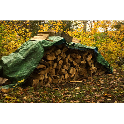 Firewood In Forest by ManicBlu - Wrapped Canvas Print