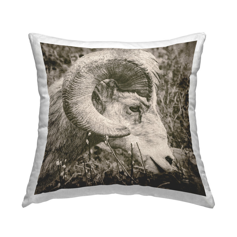 Coussin Big Big Horned Goat