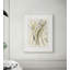 Plants & Flowers Print by Claudia Lowry-1098024902