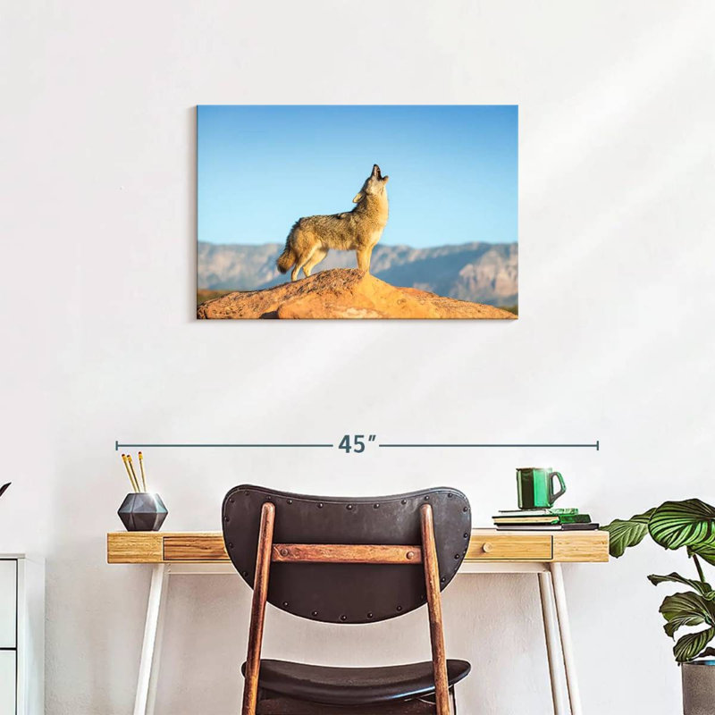 Brampt Howling Coyote, 20'' H x 30'' W