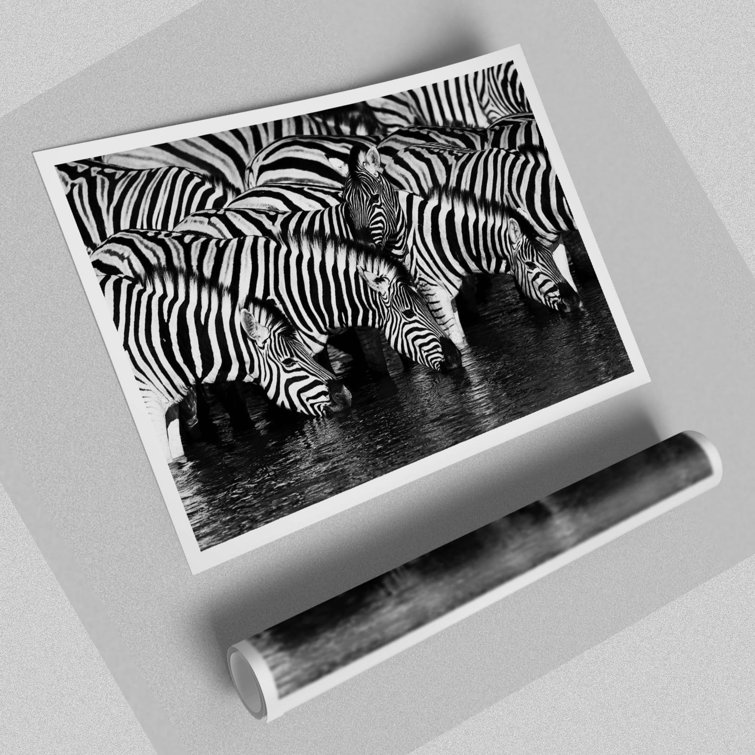 Zebra Drinking - No Frame Print