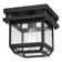 Sorrell Glass Flush Mount