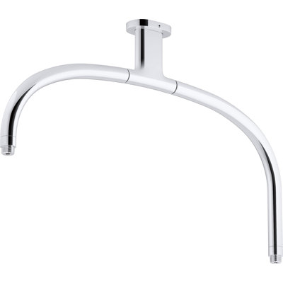 Éblouissant bras de douche double emblématique