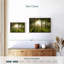 Birch Forest Sunlight-1269280455-1269280454