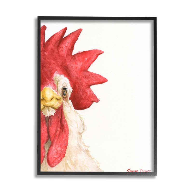 Gros plan d'un coq de ferme, gros oiseau rouge, H 14 po x l 11 po, Giclée encadrée noir minuit