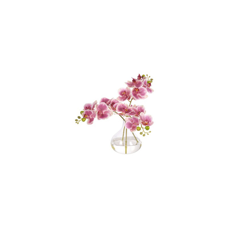 Real-Touch Orchid Phalaenopsis, Pink, Glass Vase